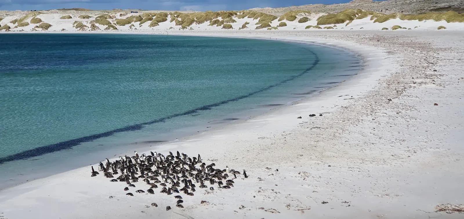 Argentina Creates Foreign Policy Coordination System to Monitor the Falklands