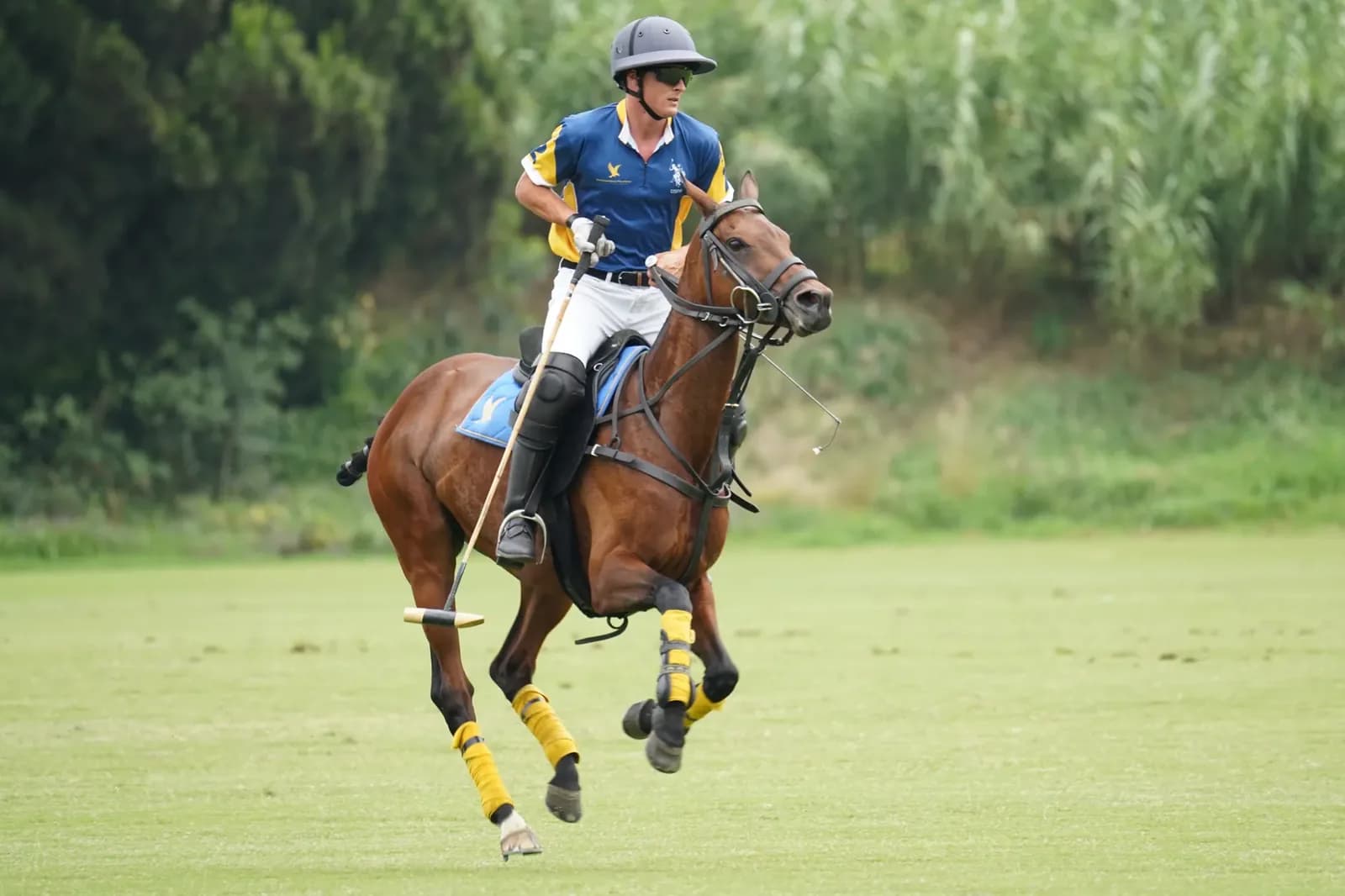 Prince Harry Sets UK Return With Invictus and WellChild Events