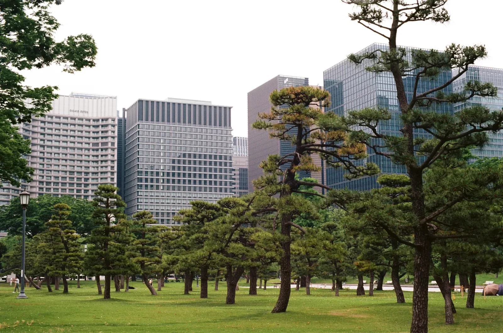 Bank of Japan Raises Rates to 1.25%, a 31-Year High