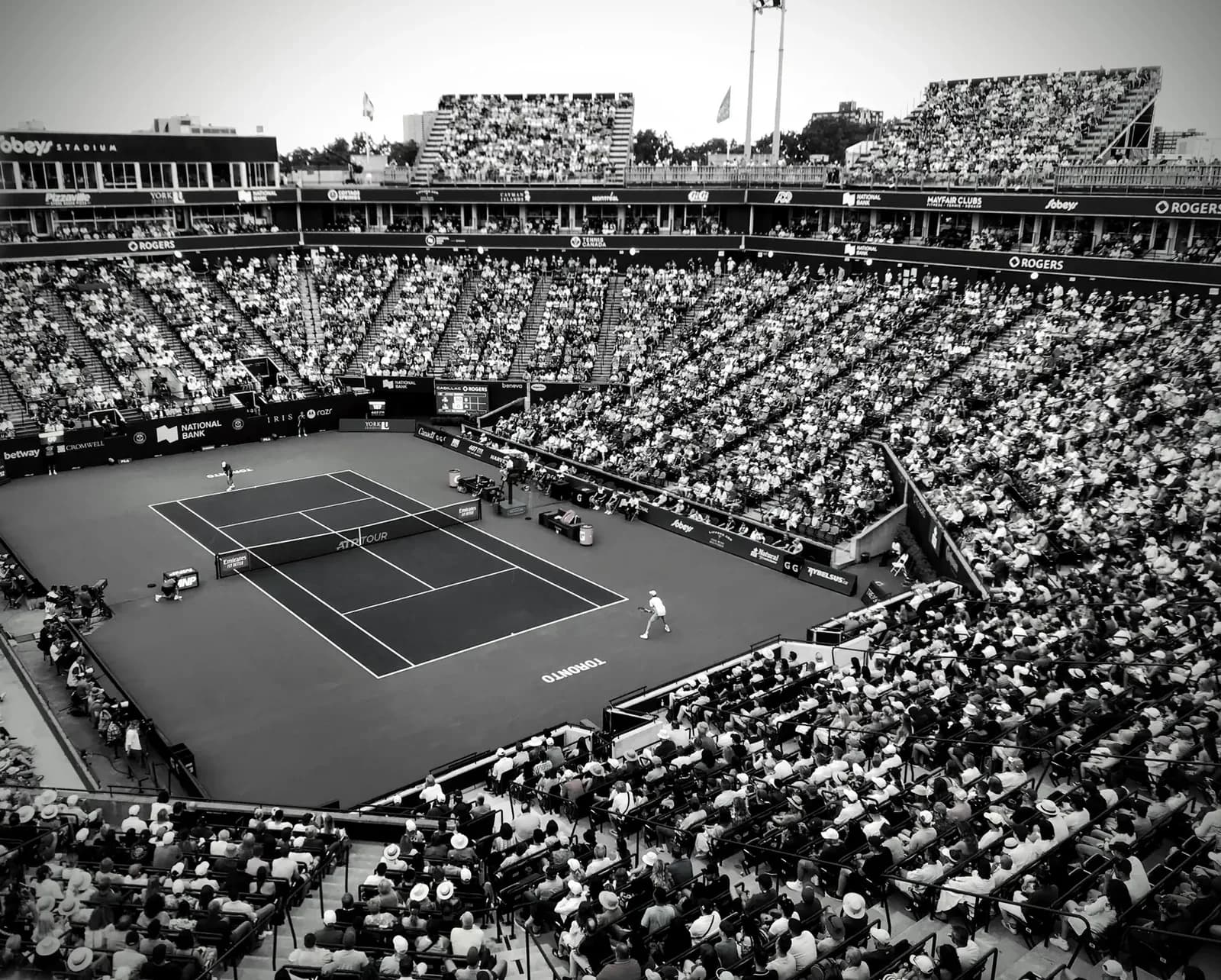 US Open Finale: Shelton vs Tiafoe, Rybakina Seeks Revenge